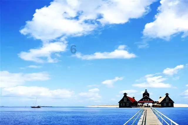 全民烧脑3去广告版