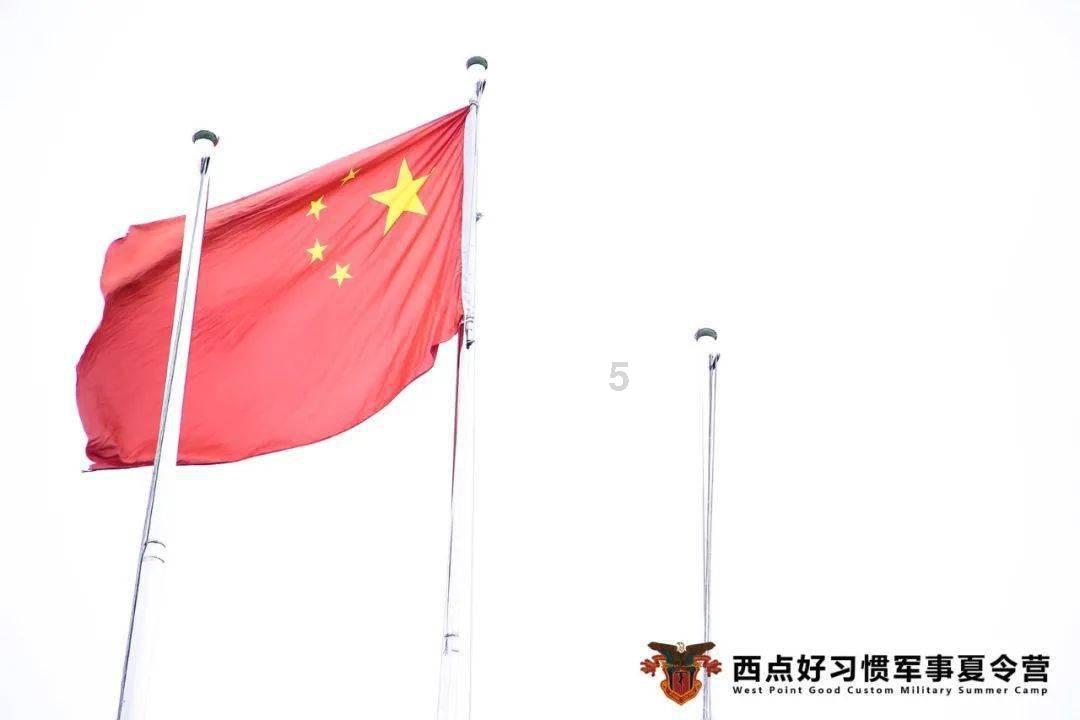 富含丰富营养的黑豆能缓解写字手抖？